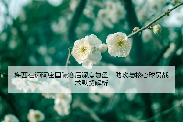 梅西在迈阿密国际赛后深度复盘：助攻与核心球员战术默契解析